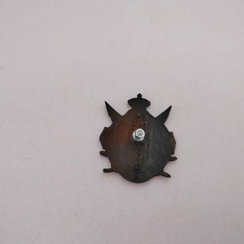 Replica metal emblem used, Dinaric Division