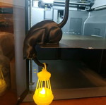 3D Maker decorative black cat lantern new