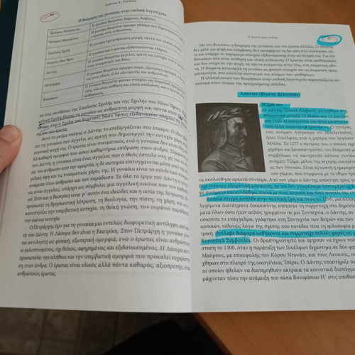 Textbook History of Italian Literature used