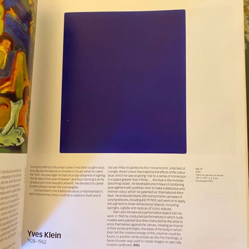 Tate Modern The Handbook art book like new