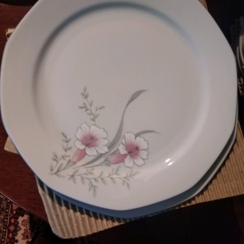 Bavarian porcelain dinnerware set new, 70 pieces