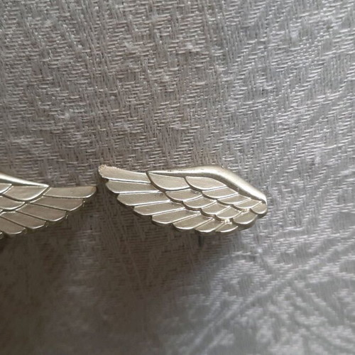 Feather earrings new