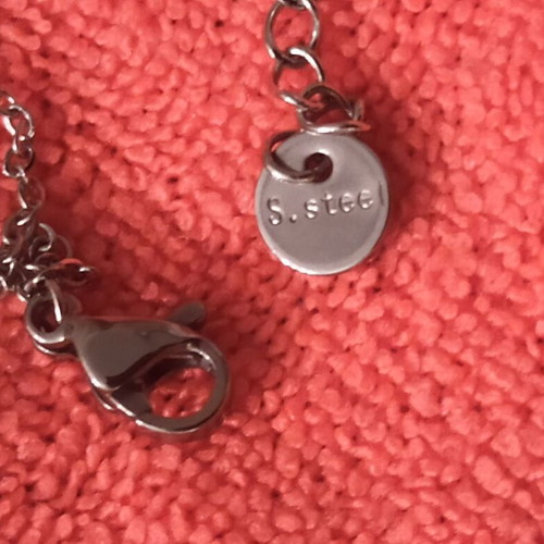 Steel necklace new with double chain and crescent moon detail