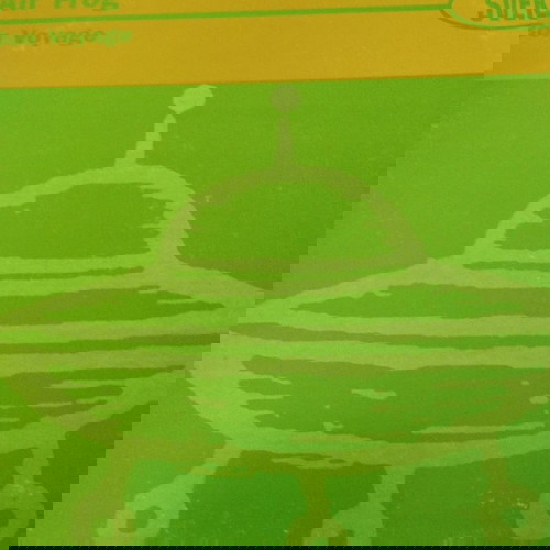 Air Frog - Bon Voyage 12" single