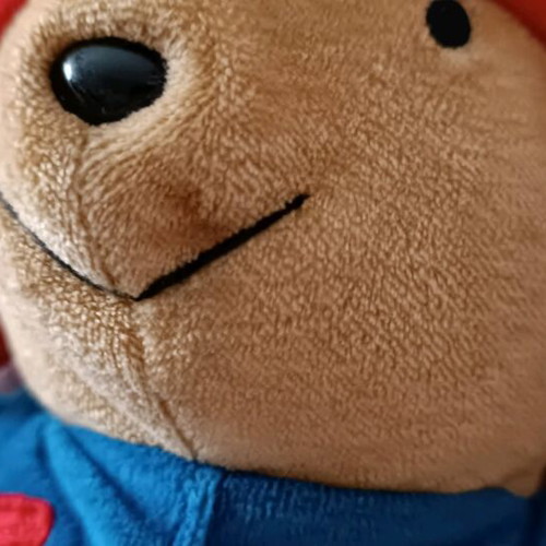 Paddington Bear stuffed toy used with authenticity tag