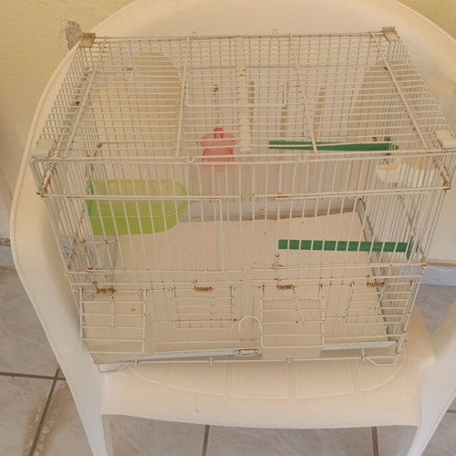 Birdcage with accessories used