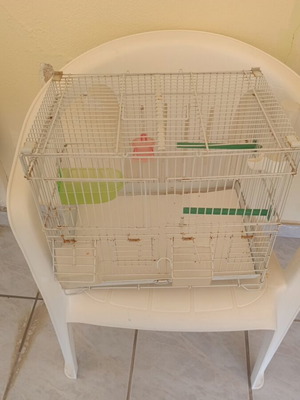 Birdcage with accessories used