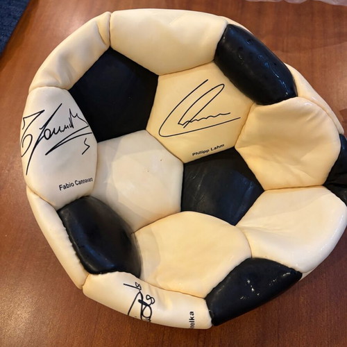 Collectible ball with signatures new