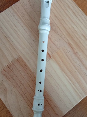 German System Flute like new, plastic