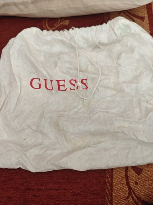 Dustbag Guess