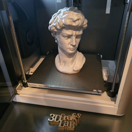 David bust by Michelangelo 3d printed new, about 20cm