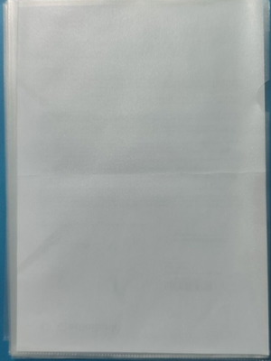 PP L-Type A4 Sleeves pack of 10, semi-transparent, new