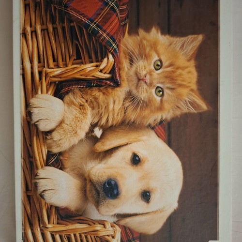 Puzzle 500 pieces used, complete