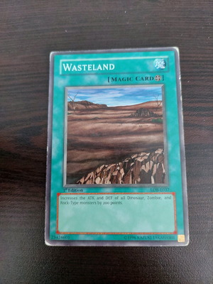 Yu-Gi-Oh Wasteland card