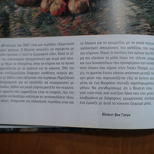 Amsterdam Van Gogh Museum book like new