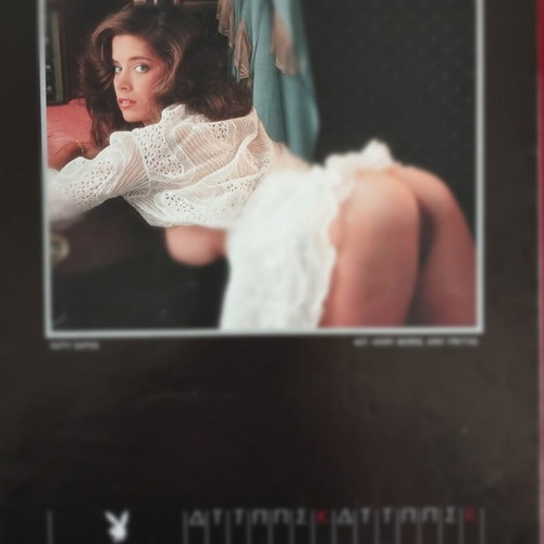 Playboy calendar 1987 used