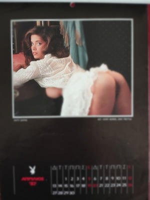 Playboy calendar 1987 used