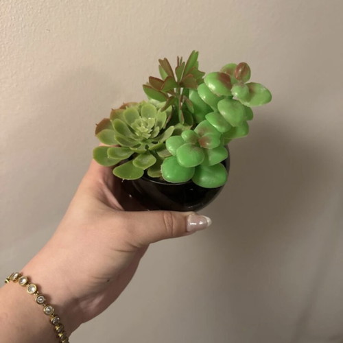 Decorative plant with glass pot like new, plastic leaves