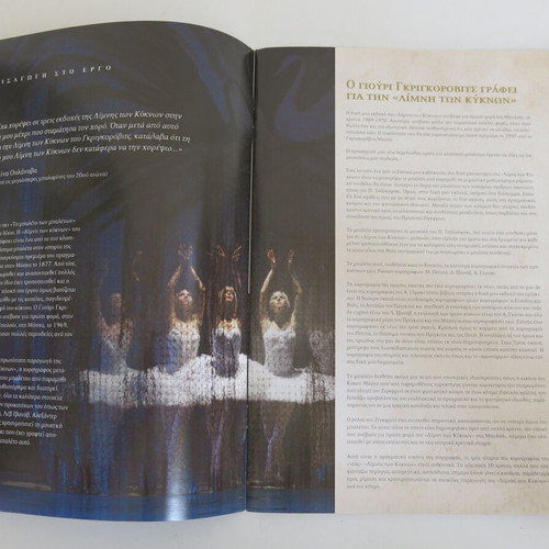 Swan Lake Concert Program like new