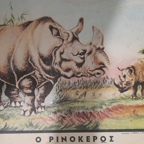 Animal posters used, set of 3, elementary zoology 1960-1975