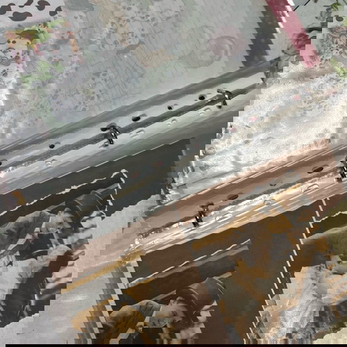 Vintage Συλλογή Αλληλογραφίας (Φάκελο-κόλλες) 98’-02’