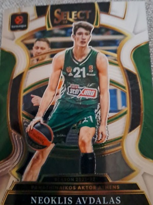 Panini Select Euroleague Neoklis Avdalas Concourse Base Card new