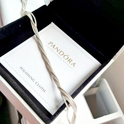 Pandora s925Ale Reflexions bracelet with four strands.