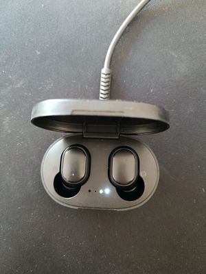 Wireless earbuds used