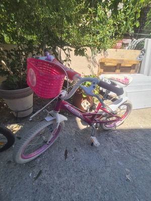BYOX 18" bicycle
