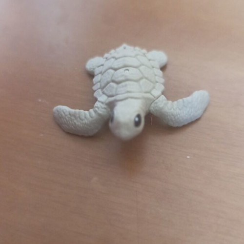 Small plastic turtle like new, light green color