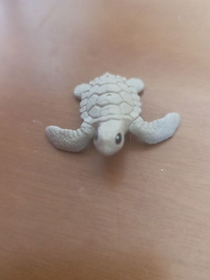 Small plastic turtle like new, light green color