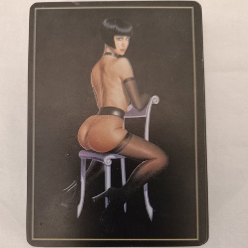 Playboy collectible deck used from 1990s with large hard case