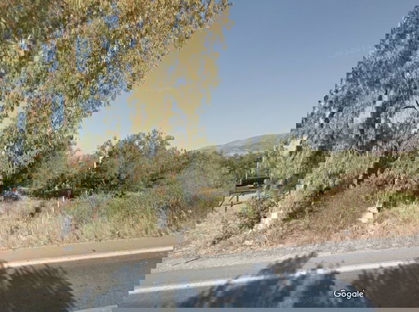 ΠΩΛΕΙΤΑΙ ΑΓΡΟΤΕΜΑΧΙΟ 2.000τμ με 42 ΡΙΖΕΣ ΕΛΙΕΣ δίπλα σε ΕΛΑΙΟΤΡΙΒΕΙΟ (50%, εξ αδιαιρέτου) στο ΛΟΥΤΡΟ ΜΕΣΣΗΝΙΑΣ (εφαπτόμενο με παλιά εθνική οδό)