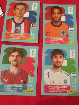 Fifa World Cup 2026 Panini stickers new