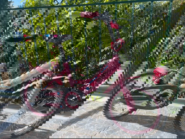 Παιδικό ποδήλατο Orient Terry 16 Pink