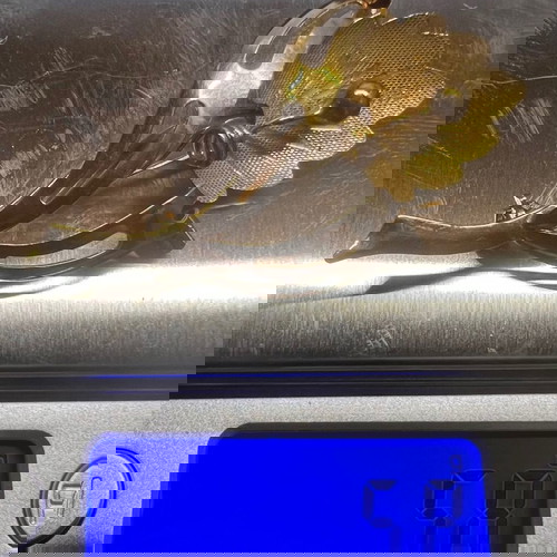Χρυσή καρφίτσα (750 18 κ 5,8gr)