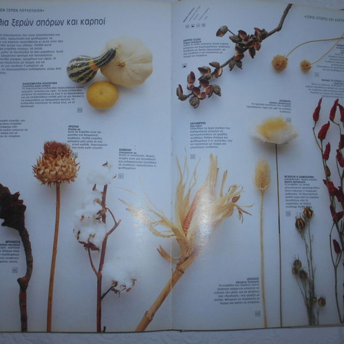 Indoor Gardens used book by John Brookes