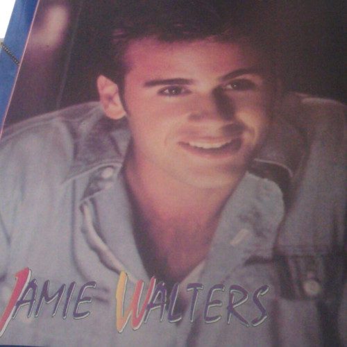 Jamie Walters & Melrose Place poster used, size 29.3x23.2
