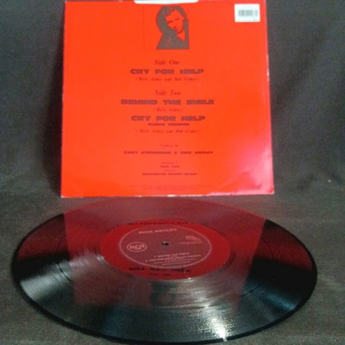 Rick Astley Cry for Help vinyl record used in good condition