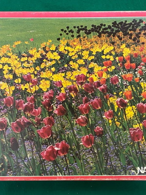 Puzzle 2000 pieces with tulips theme new