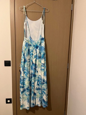 Brigitte dress backless maxi like new