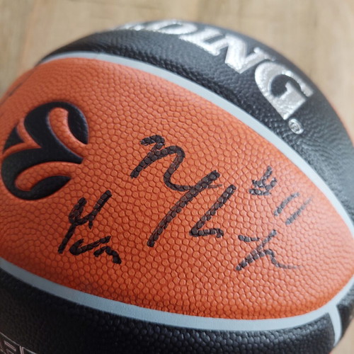 Spalding Panathinaikos Euroleague Berlin 2024 collectible basketball new