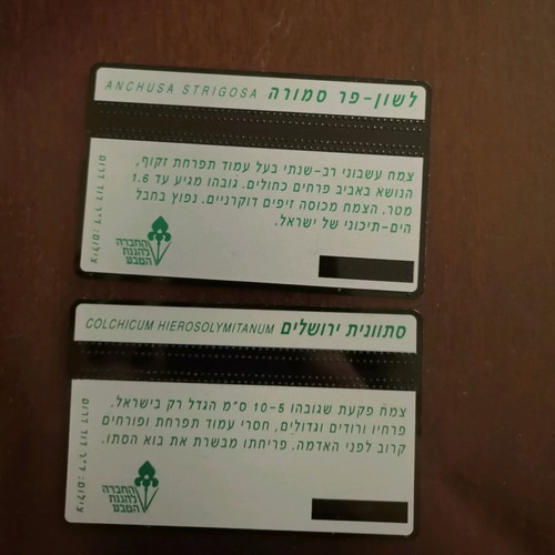 Israel telecards used, pack of 2