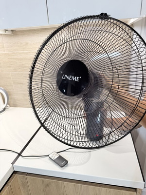 Lineme Wall Fan used, fully functional