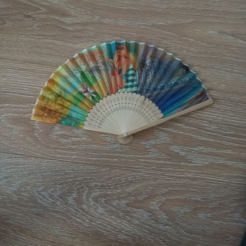 Antique old fan