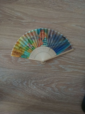 Antique old fan