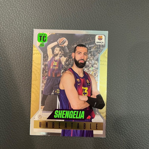 Shengelia Euroleague card new