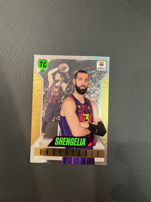 Shengelia Euroleague card new