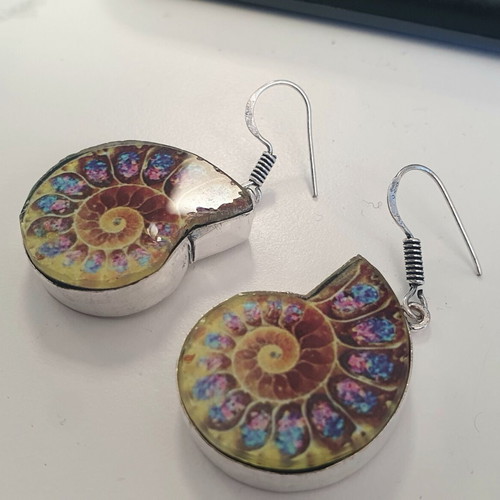 Earrings with colorful ammonite design, new