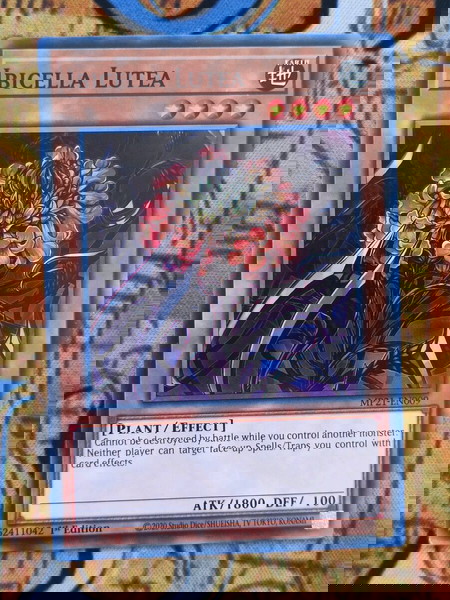 Ibicella Lutea (Yugioh)